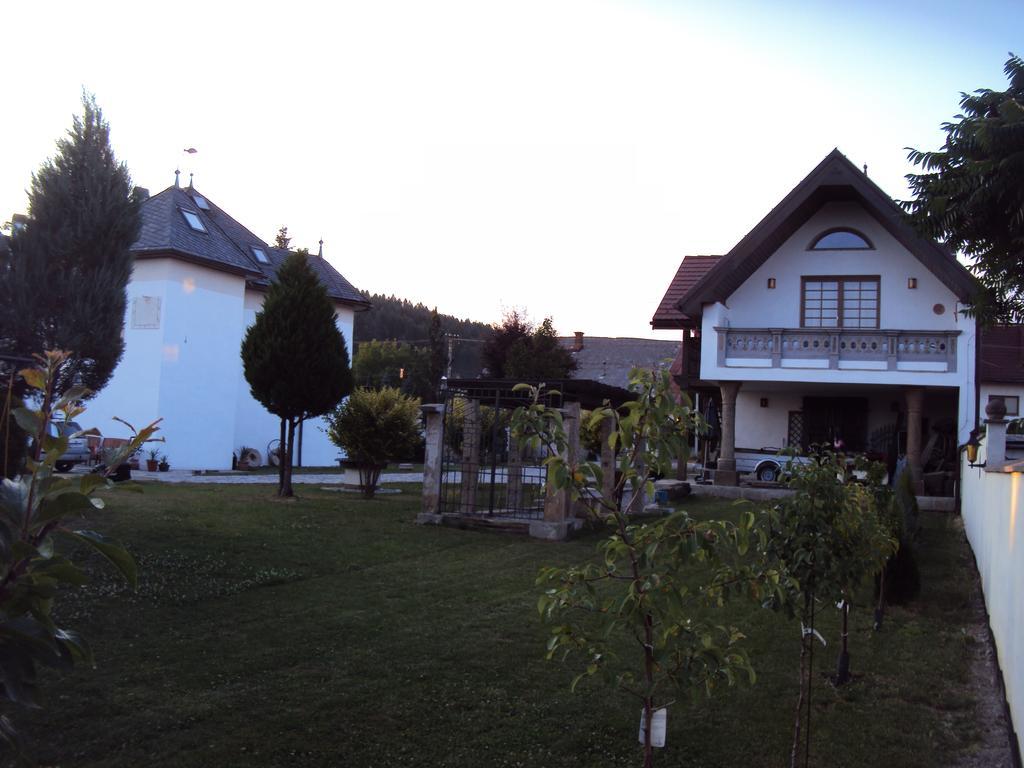 Castle Kastiel Kotesova Apartment Стая снимка