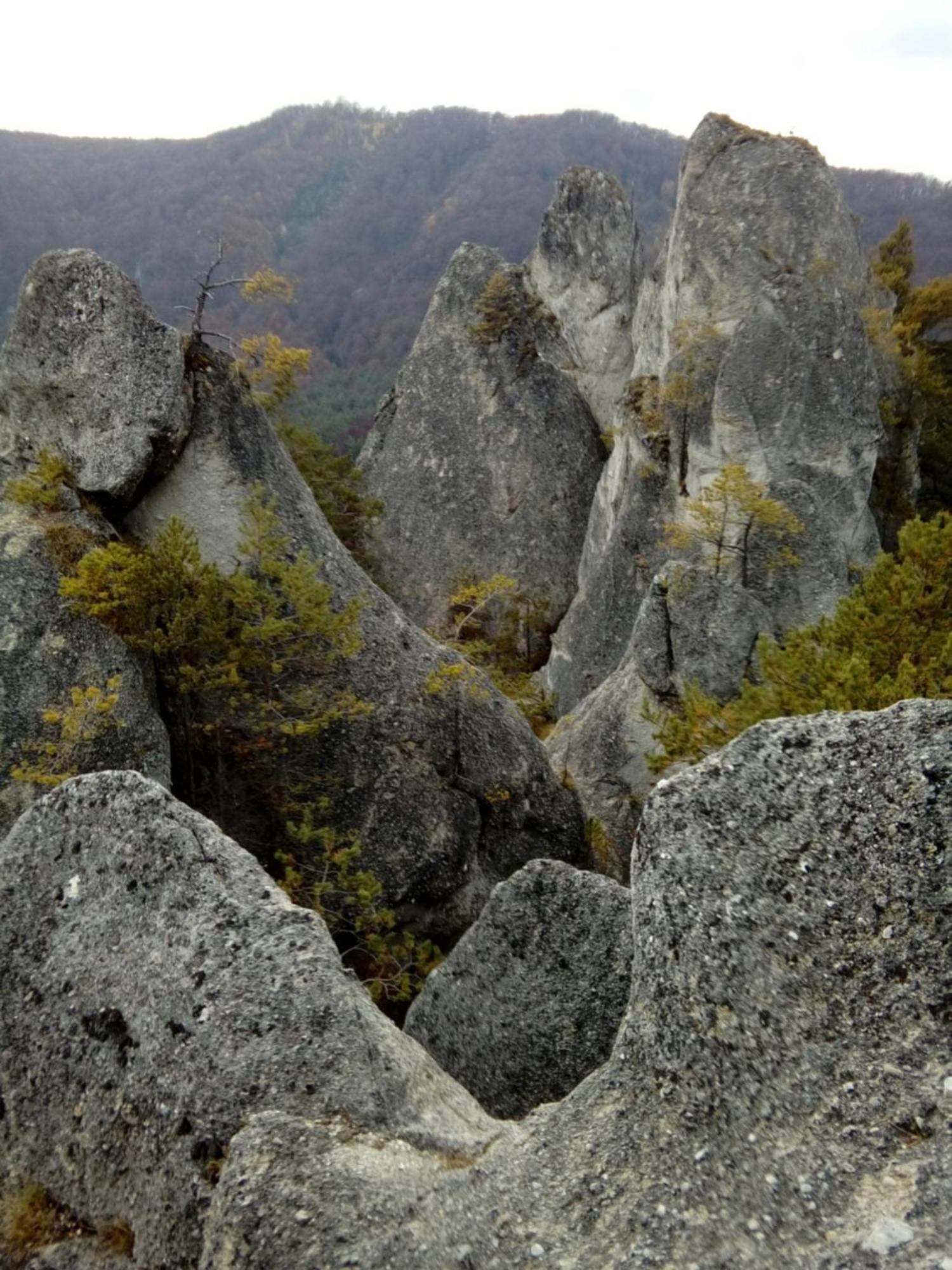 Castle Kastiel Kotesova Apartment Екстериор снимка